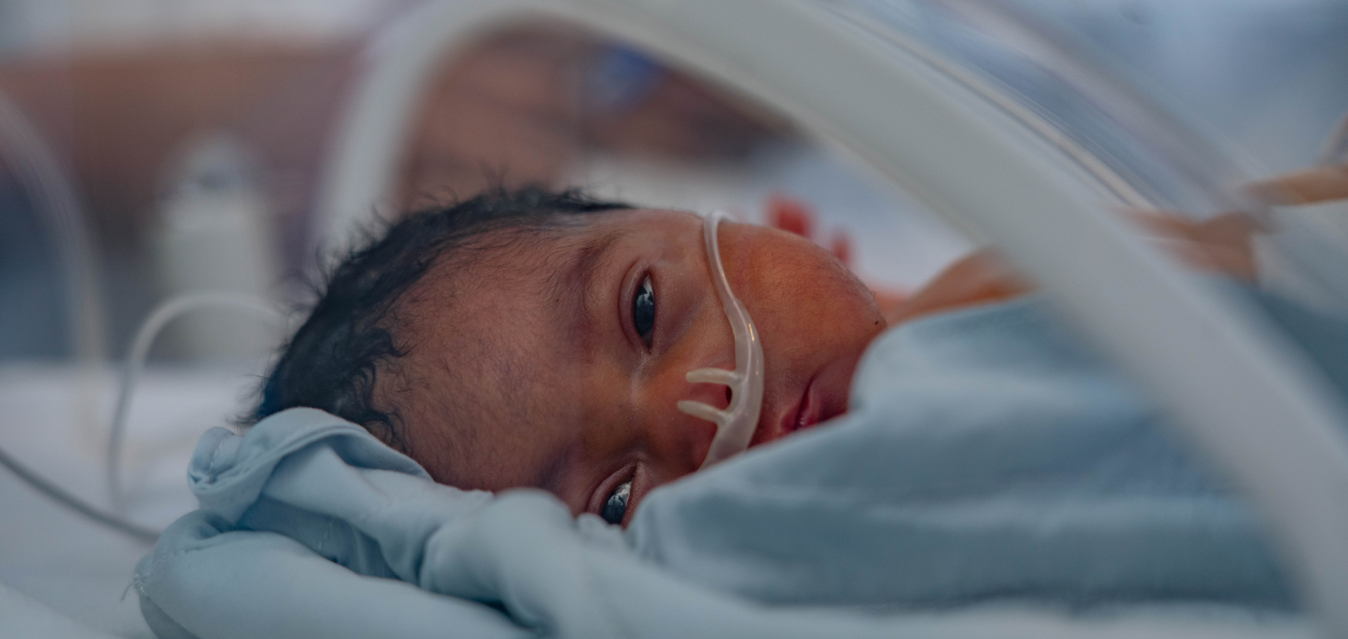ABBIAMO SOLO 24 ORE PER SALVARE UNA NUOVA VITA DONA ORA